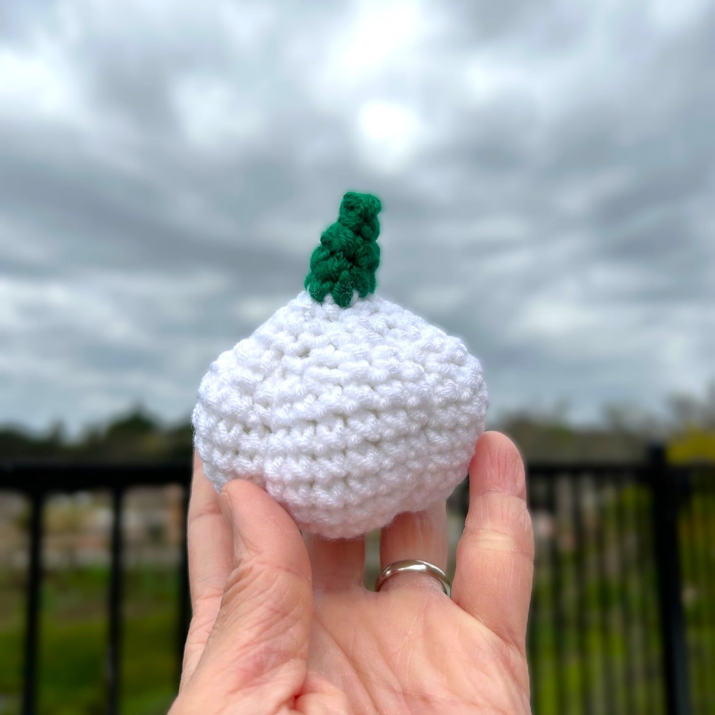 Handmade Crochet Knitted Vegetable Garlic - Gift for Valentine's, Birthday, Mother's Day, Office/Home Decor