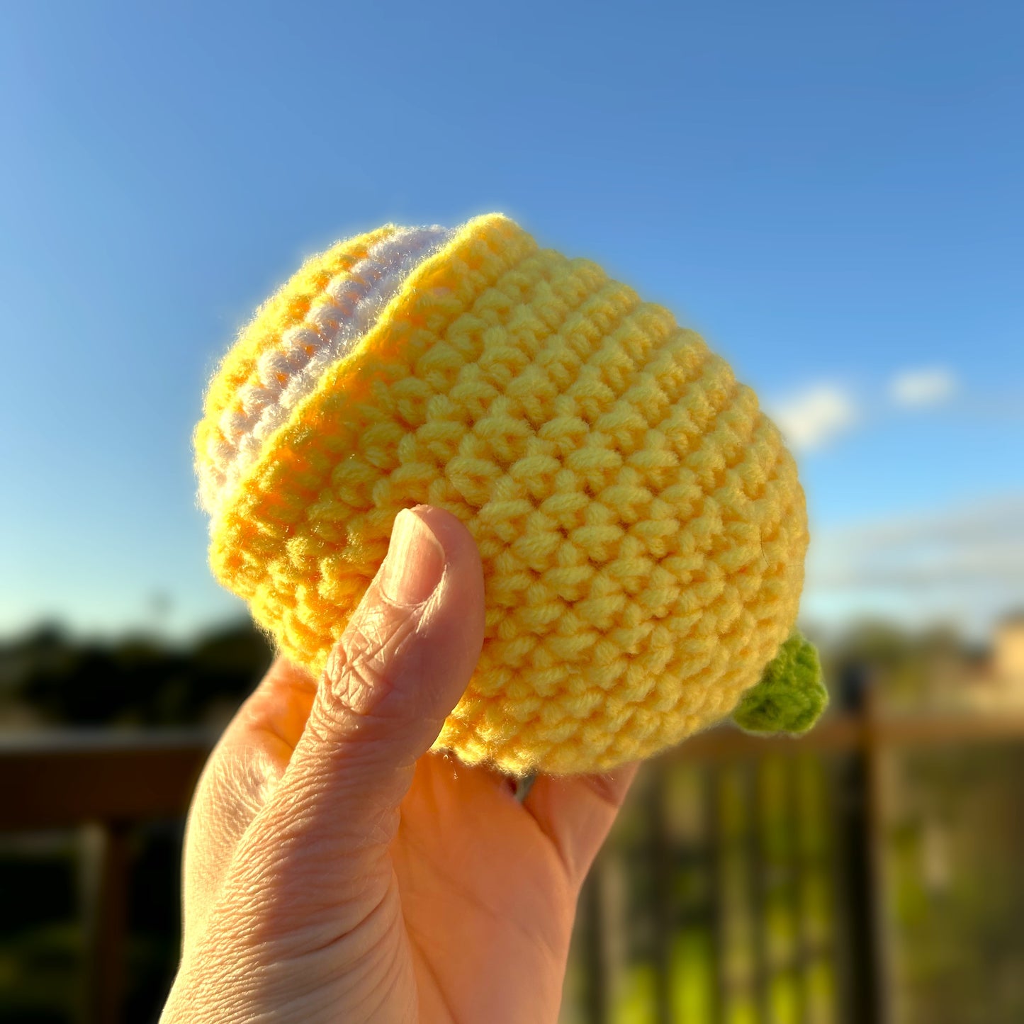 Handmade Crochet Knitted Fruit Lemon Half- Gift for Valentine's, Birthday, Mother's Day, Office/Home Decor