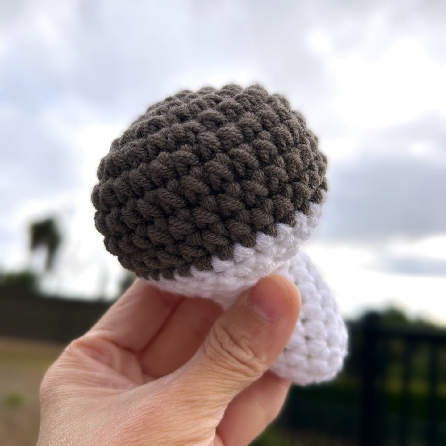 Handmade Crochet Knitted Vegetable Mushroom - Gift for Valentine's, Birthday, Mother's Day, Office/Home Decor
