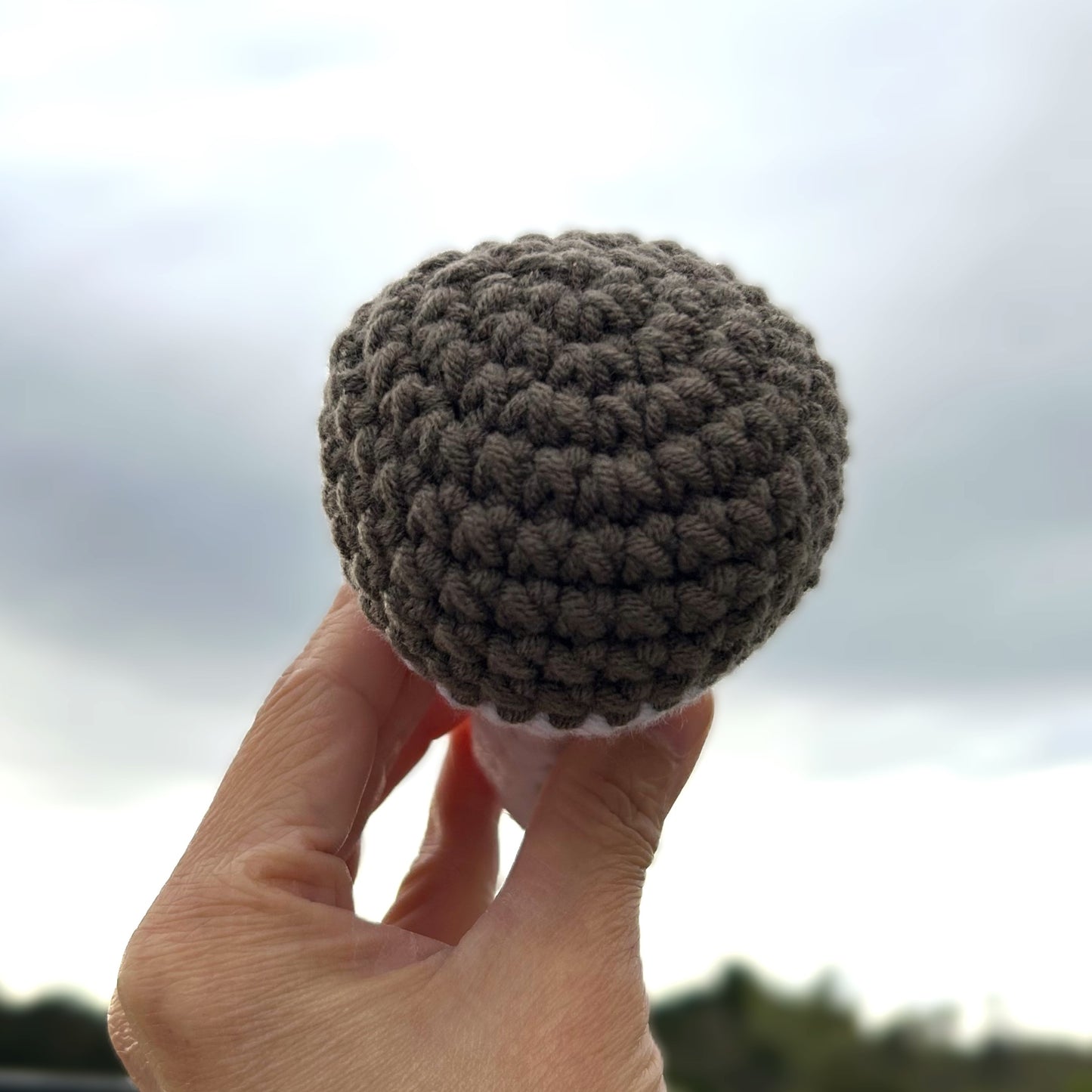 Handmade Crochet Knitted Vegetable Mushroom - Gift for Valentine's, Birthday, Mother's Day, Office/Home Decor
