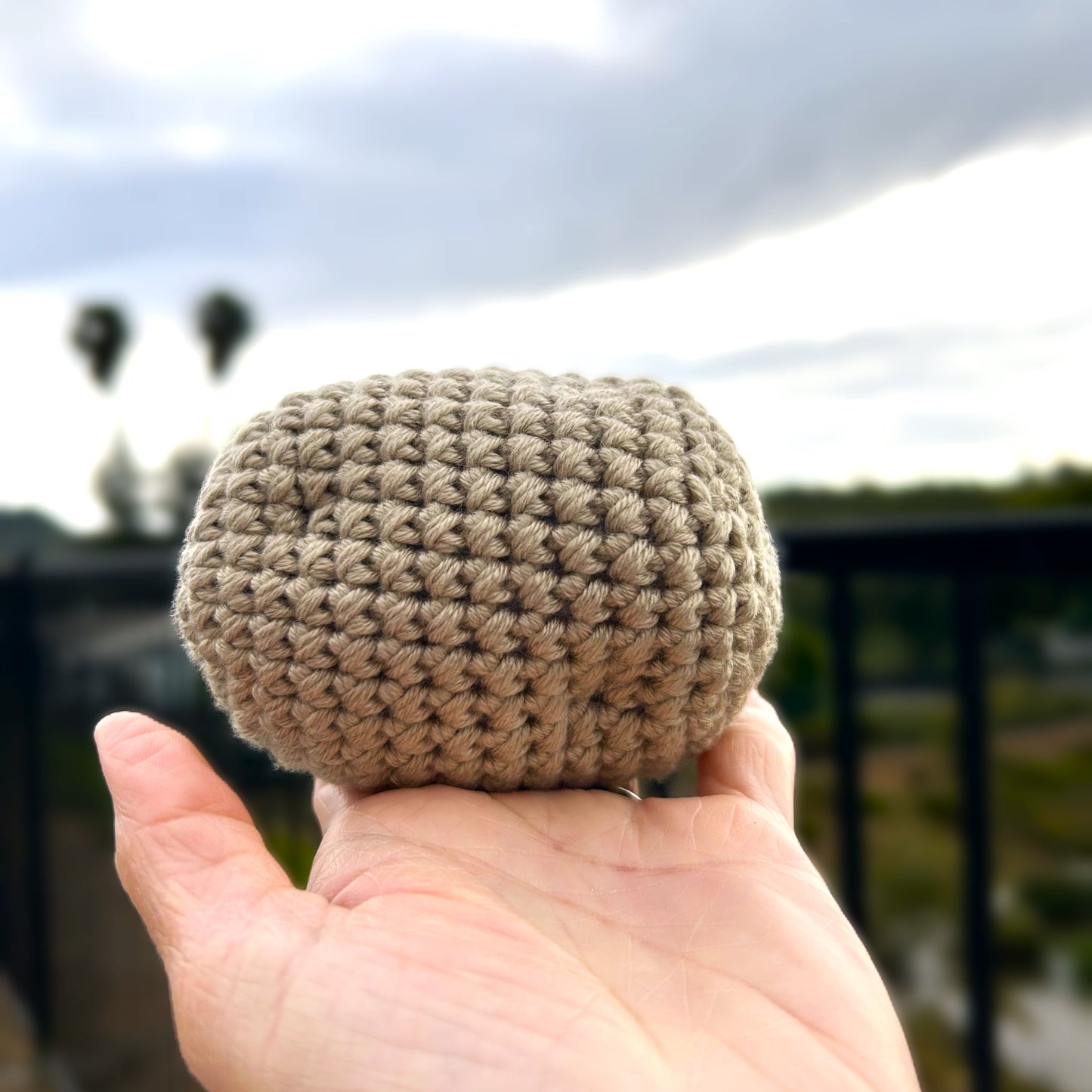 Handmade Crochet Knitted Vegetable Potato - Gift for Valentine's, Birthday, Mother's Day, Office/Home Decor
