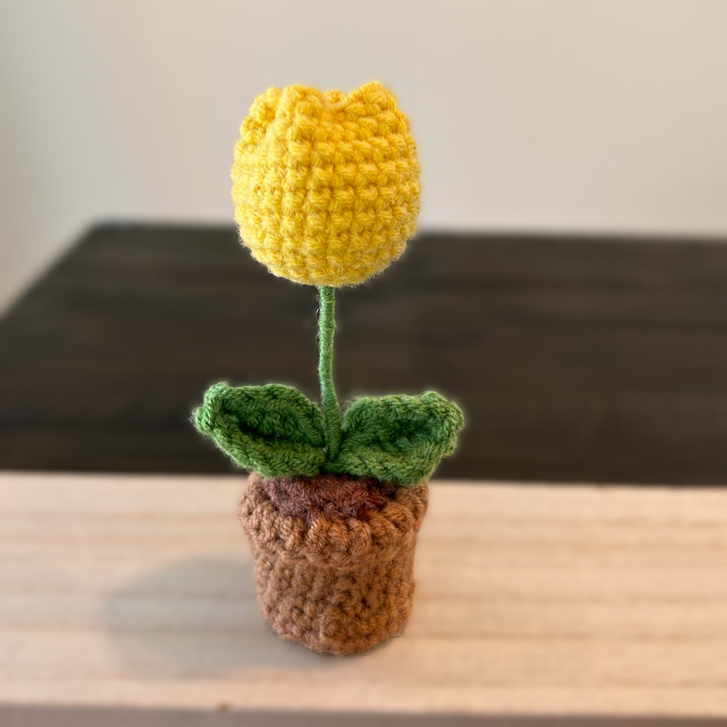 Handmade Crochet Knitted Potted Plant - Bundle B 6PCS - Gift for Valentine's, Birthday, Mother's Day, Office/Home Decor