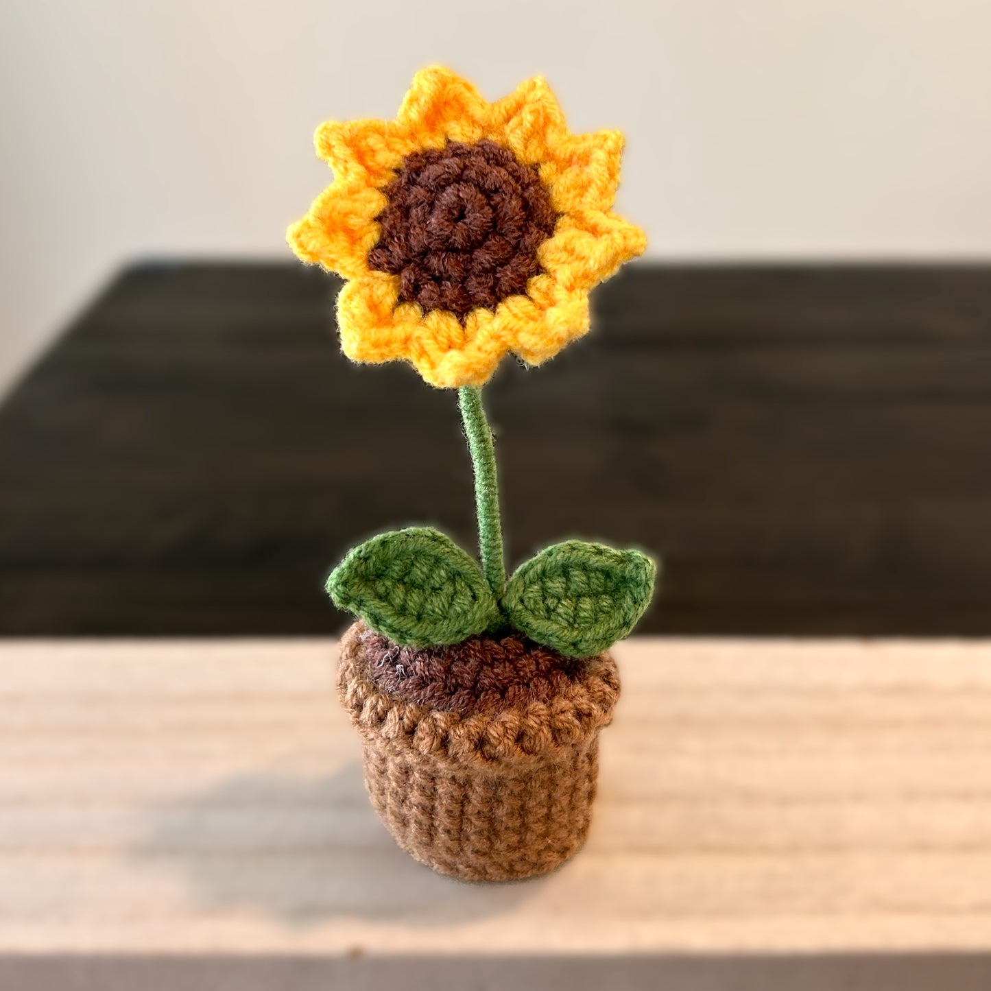 Handmade Crochet Knitted Potted Plant - Bundle B 6PCS - Gift for Valentine's, Birthday, Mother's Day, Office/Home Decor