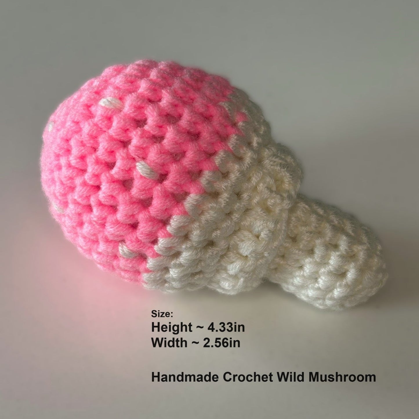 Handmade Crochet Knitted Vegetable Wild Colorful Mushroom Bundle 2PCS - Gift for Valentine's, Birthday, Mother's Day, Office/Home Decor