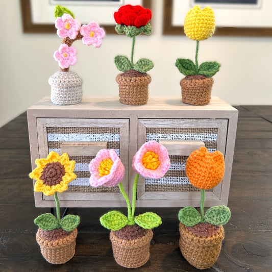 Handmade Crochet Knitted Potted Plant - Bundle B 6PCS - Gift for Valentine's, Birthday, Mother's Day, Office/Home Decor